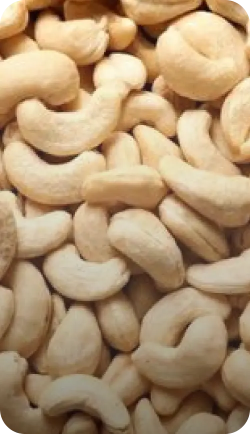 Product_Img
